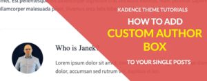 Kadence theme tips: How to add Custom Author Info Box?